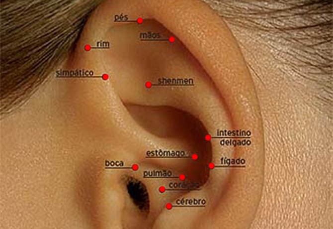 A acupuntura auricular ajuda no processo de emagrecimento